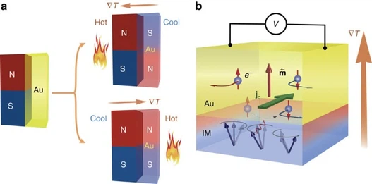 Temperature Affects Magnetism Temperature Affects Magnetism