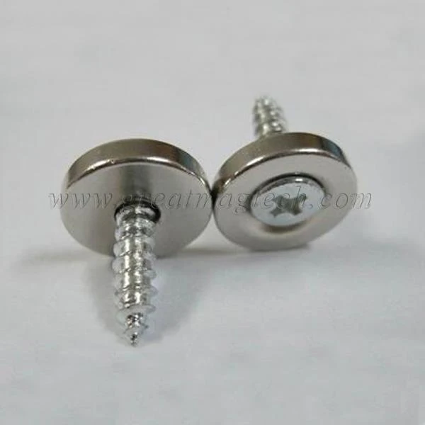 Countersunk Magnets