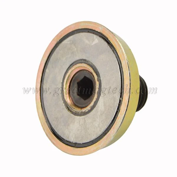 Pipeline Fixer Magnetic Ferrule Insert